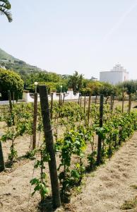 Residence San Domenico