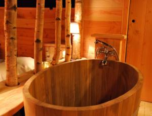 Complexes hoteliers Cabane Lodge Domaine du Lac Chambon : photos des chambres