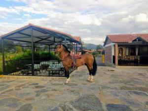 Posadas San Antonio Campestre