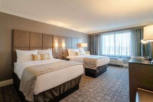 2 Queen Beds  room in Best Western Premier Airport/Expo Center Hotel