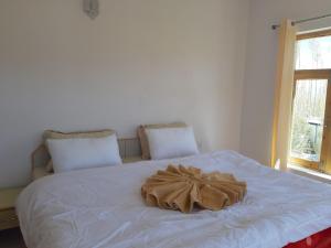 Odbar Guest House Best Guest House at Leh Ladakh