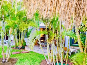 Gorgeous Villa With Pool E8 Playacar Phase 2