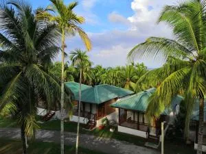 Rainforest Resort - Beadonābād