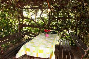 Peaceful Family Apartment JASNA