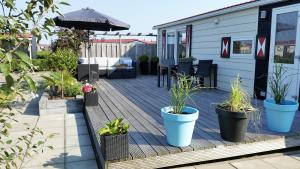 Chalet Olm Ferienpark Olmenduin Zeeland 4 Pers familienfreundlich Hunde willkommen