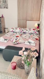 Studio Apartment Legcevic