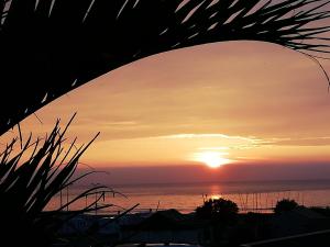 Appartements Appartement terrasse esprit loft vue sur mer : photos des chambres