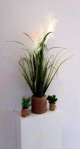 Hotel Restaurant LEscale