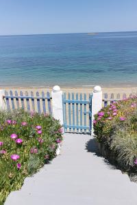 Anemos Seaside House Skyros Greece