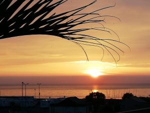 Appartements Grand loft de 60m2 tres lumineux tres belle vue sur mer : photos des chambres