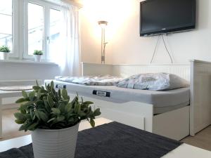 Appartement Ferienwohnung Erlinsbach SO Niedererlinsbach Schweiz