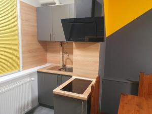 VIP apartment in the centre