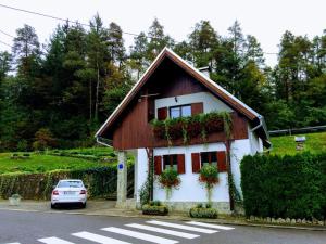 4 star Вила Holiday House Kod Ajke Слуни Хърватска