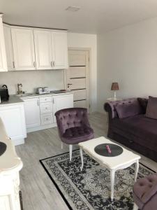 “Provanso” studia