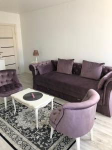 “Provanso” studia