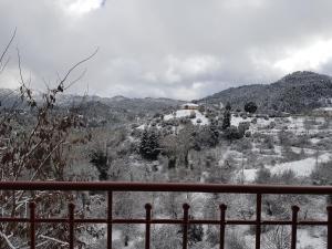 Petra & Elato Art Hotel