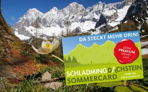 Apartment SCHLADMING - Planai view