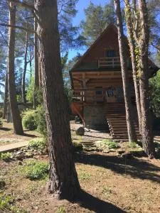 Domek z bali Tryszczyn nad Brdą - Koronowo