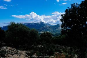 Agriturismo Conca' e Janas img19