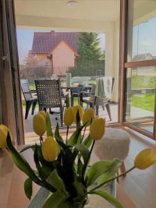 Apartament MOMENTUM