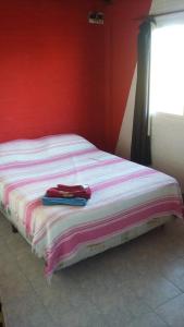 La Palmera escondida