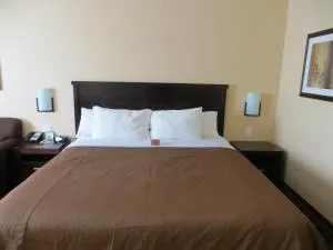 Poplar Tree Inn - Broadview