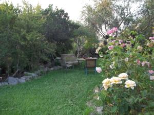 Il Vecchioliveto di Ornella img28