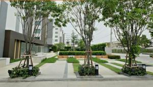 Plum Phahol89, Prachathipat