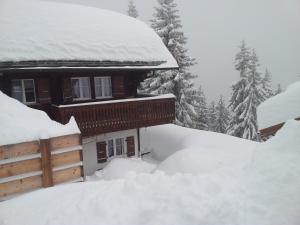3 stjerner suite Chalet Grazia Riederalp Sveits