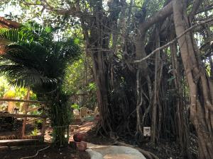 Samsara Garden Resort