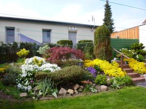 Pension am Peeneufer UG