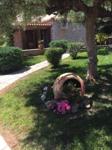 Mouses Apartments-Kardamyli