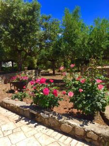 Mouses Apartments-Kardamyli Messinia Greece