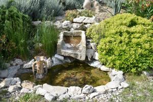 Apartments Piccolo Piaccere