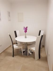 APARTMAN KSENIJA KOVAČIĆ