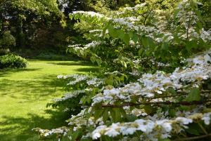 B&B / Chambres d'hotes Les Jardins : photos des chambres