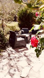 B&B / Chambres d'hotes Ferme U San Martinu : photos des chambres
