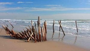 Hotels Hotel Le Neptune en Camargue : photos des chambres