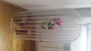 APARTAMENTO EN CAMPO DE GOLF