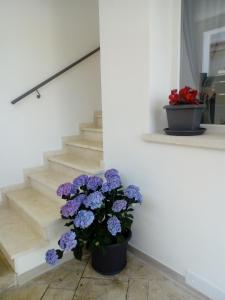 Il Colle del Barone img12