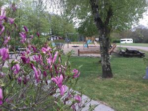 Egtved Camping Cottages