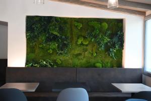 Hotels Hotel Villa Glanum et Spa : photos des chambres