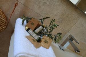 Hotels Hotel Villa Glanum et Spa : photos des chambres