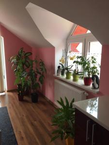 Privát Daniela Štrba