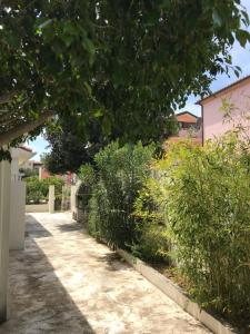 Appartamenti Le Mimose img31