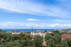 Panoramic View House