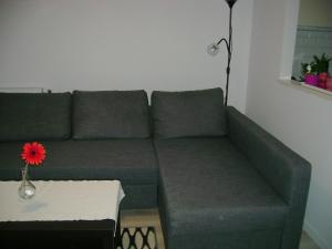 Apartament Maja