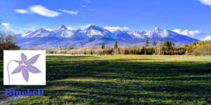 Privát Bluebell Mengusovce Slovensko