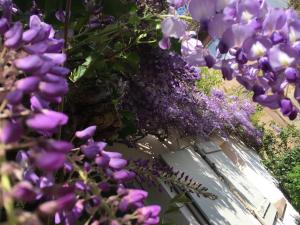 Maisons d'hotes Le Rez de Jardin : photos des chambres