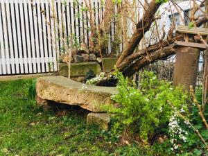 Maisons d'hotes Le Rez de Jardin : photos des chambres